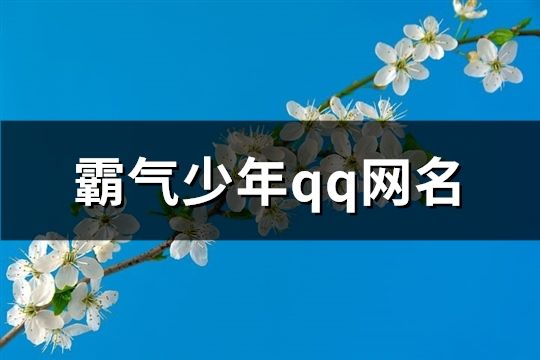 霸气少年qq网名(精选96个)