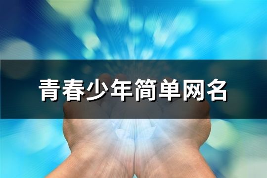 青春少年简单网名(共114个)