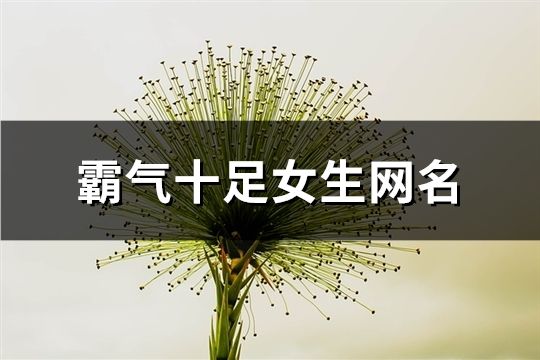 霸气十足女生网名(精选199个)