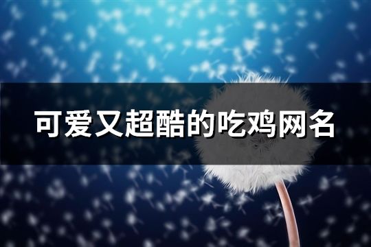 可爱又超酷的吃鸡网名(精选102个)