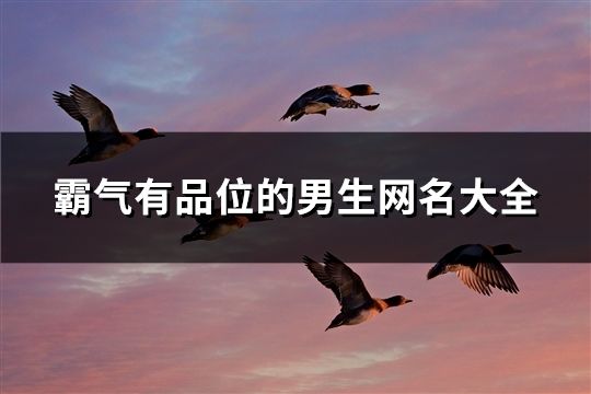 霸气有品位的男生网名大全(精选74个)