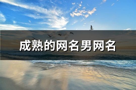 成熟的网名男网名(精选65个)