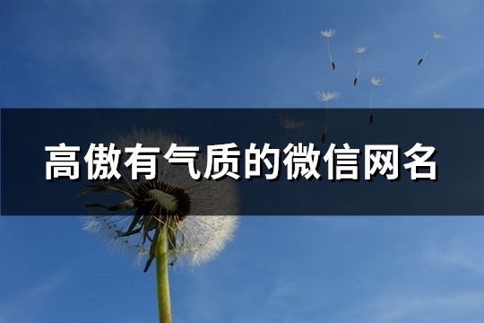 高傲有气质的微信网名(66个)