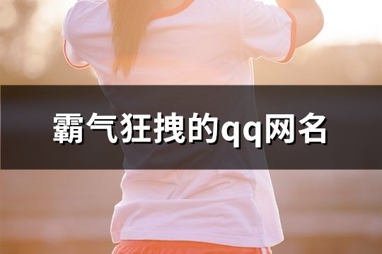 霸气狂拽的qq网名(180个)