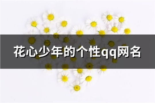 花心少年的个性qq网名(184个)