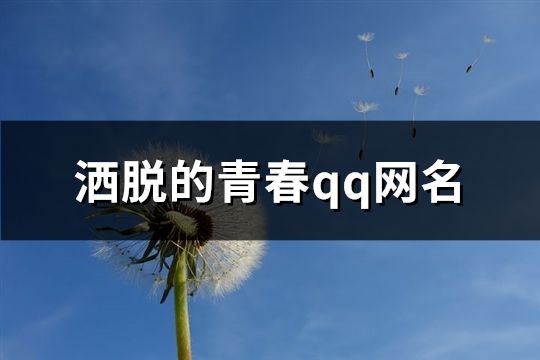 洒脱的青春qq网名(精选194个)