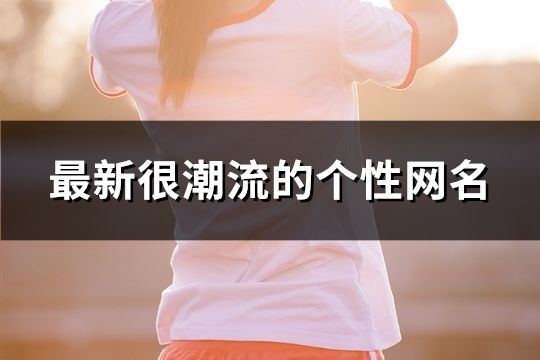 最新很潮流的个性网名(共175个)