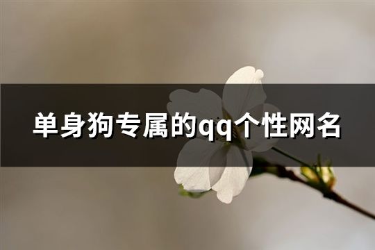 单身狗专属的qq个性网名(精选193个)