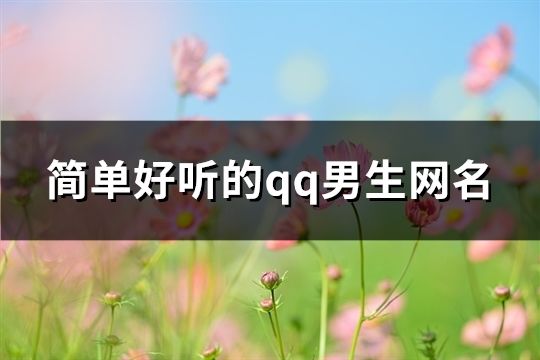 简单好听的qq男生网名(197个)