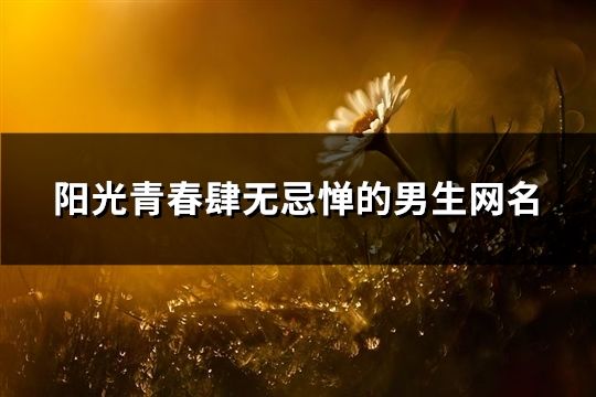 阳光青春肆无忌惮的男生网名(195个)