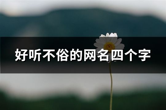 好听不俗的网名四个字(共107个)