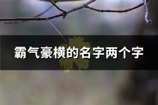 霸气豪横的名字两个字(共187个)