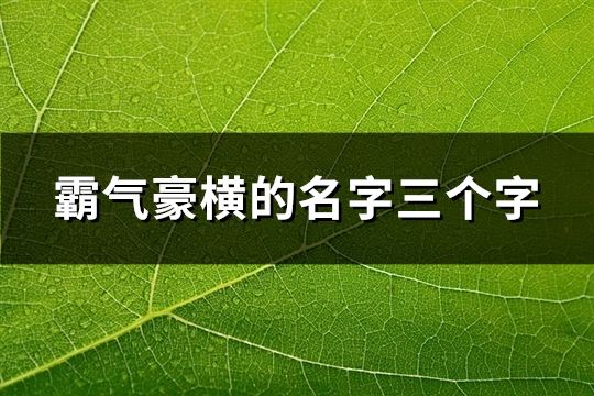 霸气豪横的名字三个字(190个)