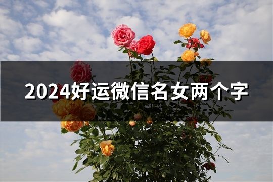 2024好运微信名女两个字(共194个)