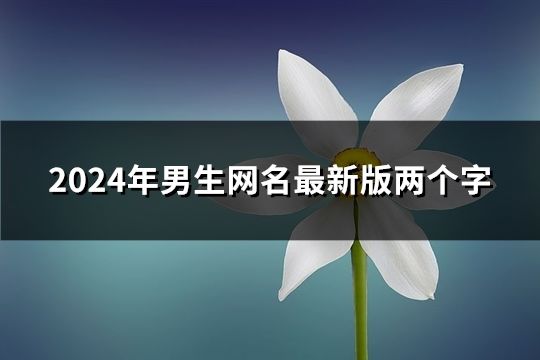 2024年男生网名最新版两个字(共77个)