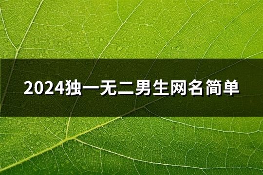 2024独一无二男生网名简单(共128个)