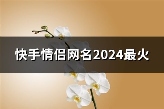 快手情侣网名2024最火(精选169个)