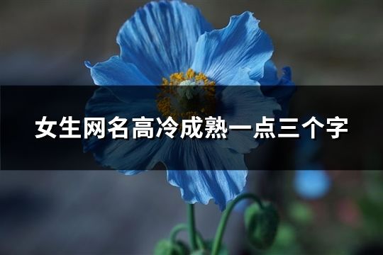 女生网名高冷成熟一点三个字(精选153个)