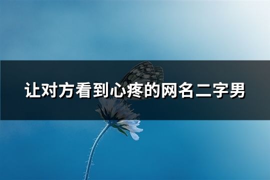 让对方看到心疼的网名二字男(164个)