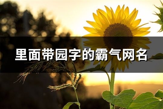 里面带园字的霸气网名(101个)