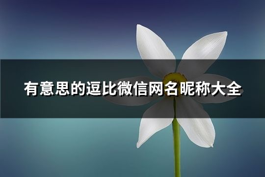 有意思的逗比微信网名昵称大全(精选111个)