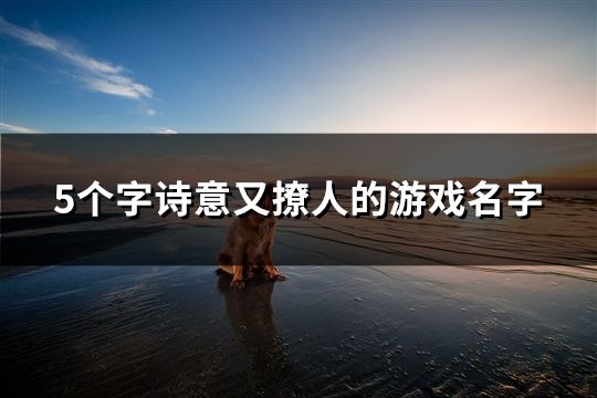 5个字诗意又撩人的游戏名字(精选170个)