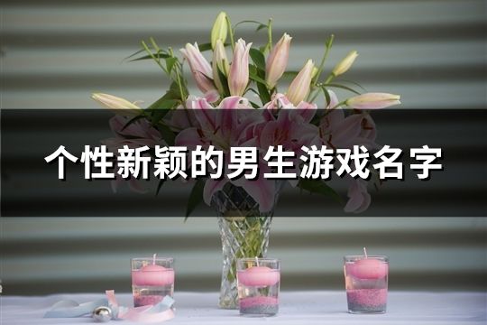 个性新颖的男生游戏名字(精选144个)