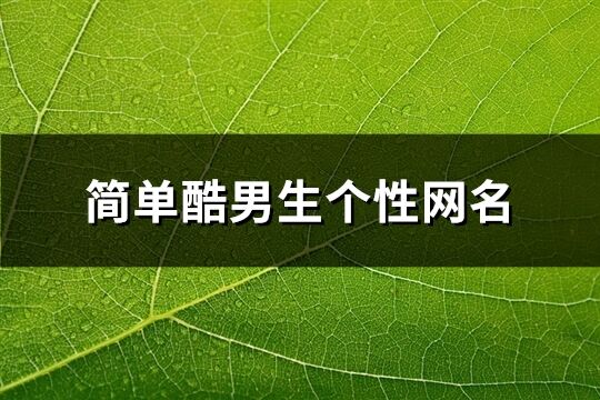 简单酷男生个性网名(508个)