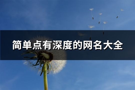 简单点有深度的网名大全(精选775个)