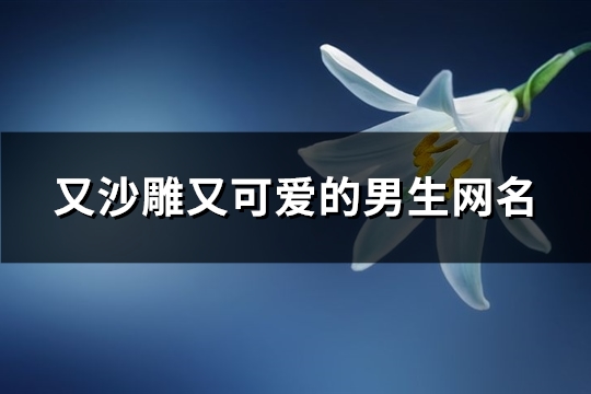 又沙雕又可爱的男生网名(331个)