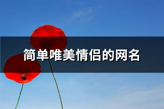 简单唯美情侣的网名(共171个)