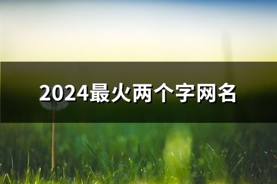 2024最火两个字网名(精选2980个)