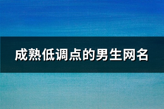 成熟低调点的男生网名(446个)