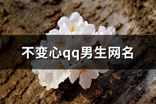 不变心qq男生网名(322个)