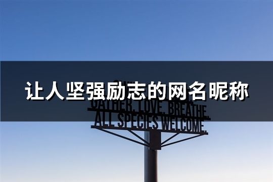 让人坚强励志的网名昵称(共226个)