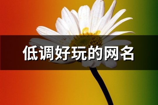 低调好玩的网名(共438个)