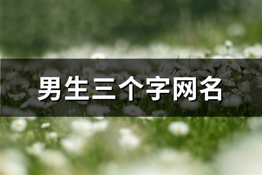 男生三个字网名(精选1304个)