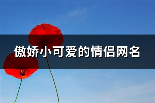 傲娇小可爱的情侣网名(共165个)