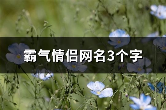 霸气情侣网名3个字(共80个)