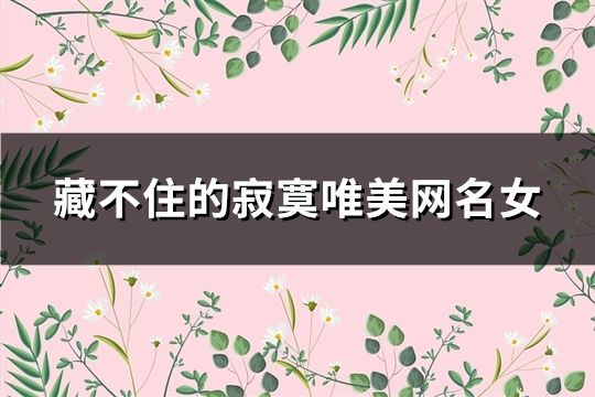 藏不住的寂寞唯美网名女(223个)