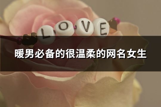 暖男必备的很温柔的网名女生(精选252个)