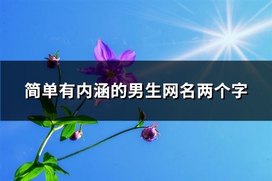 简单有内涵的男生网名两个字(276个)