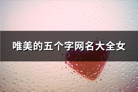 唯美的五个字网名大全女(113个)