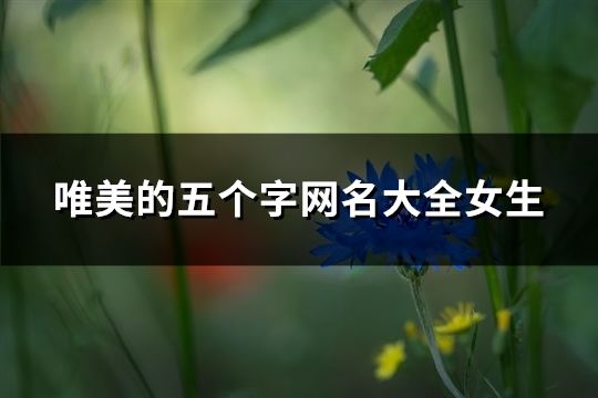 唯美的五个字网名大全女生(精选197个)