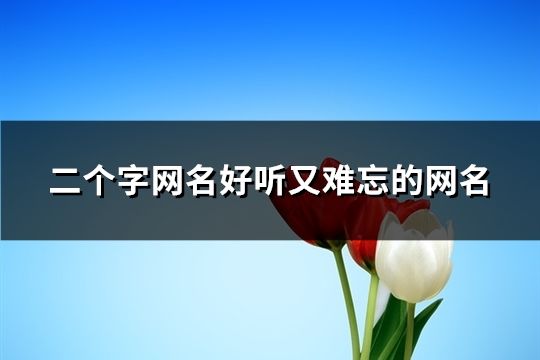 二个字网名好听又难忘的网名(精选227个)