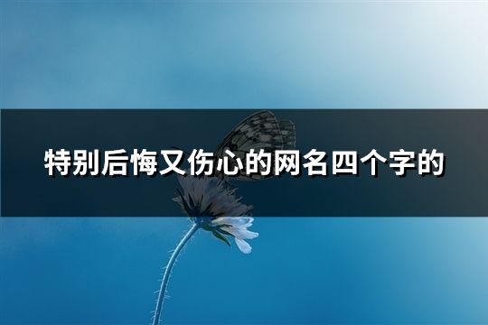 特别后悔又伤心的网名四个字的(127个)