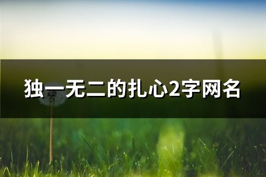 独一无二的扎心2字网名(共213个)