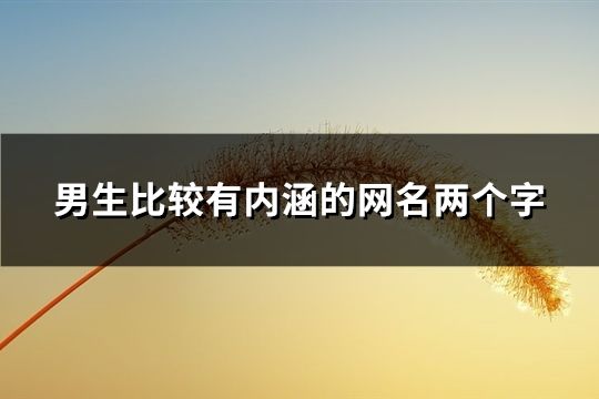 男生比较有内涵的网名两个字(185个)