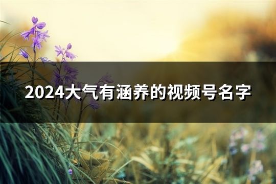 2024大气有涵养的视频号名字(精选259个)