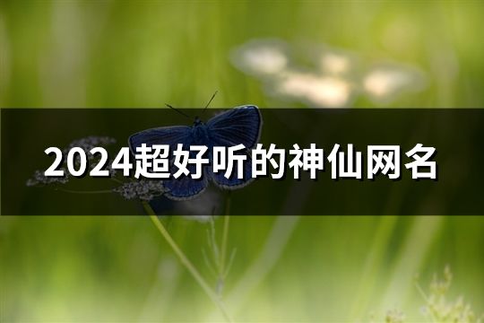 2024超好听的神仙网名(精选281个)